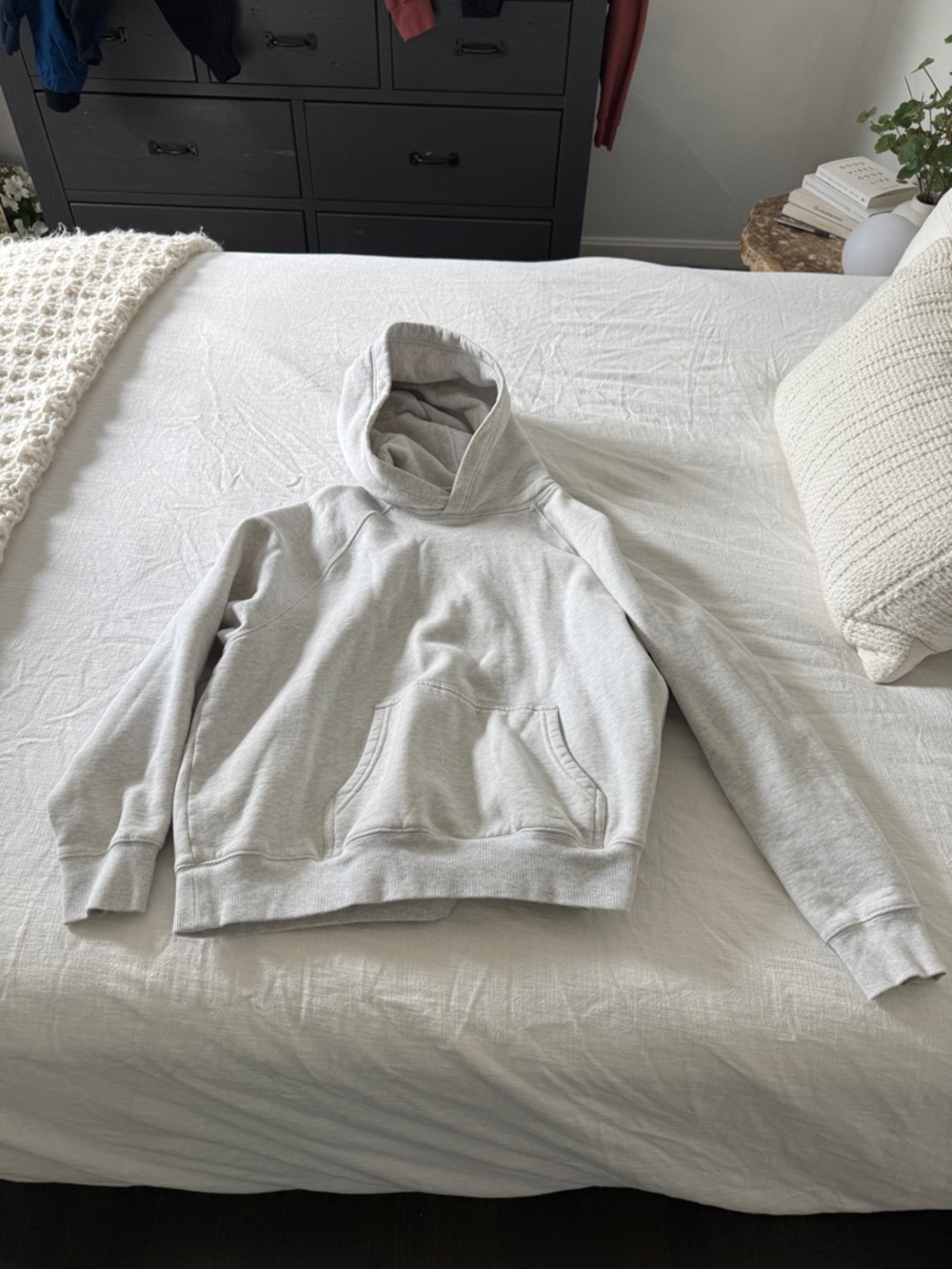 ARITZIA Light Gray Hoodie Size XS